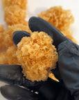 BeautyGlow Skin Dessert, Snow Fungus