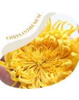 Royal Chrysanthemum Flowers