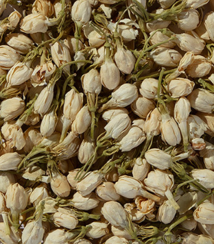 Jasmine Flower Tea 